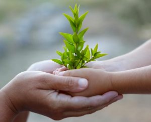 Healing er en av verdens eldste behandlingsformer. Healer Einar Tyholdt.